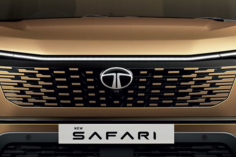 Safari Gallery Image