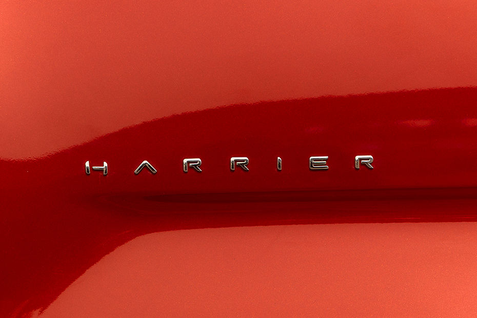 Harrier Gallery Image