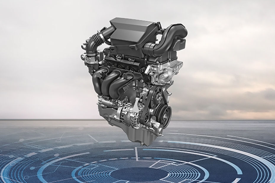 Celerio Gallery Image